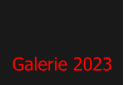 Galerie 2023 Galerie 2023