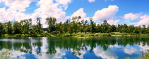 Ein Weiher im Mindeltal - kurz nach einem Gewitter aufgenommen - fast Windstille und klare Sicht.