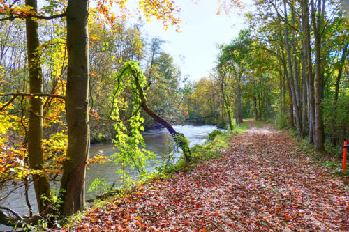 Herbst an der Mindel im Oktober 2024