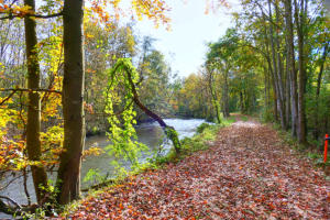 Herbst an der Mindel im Oktober 2024