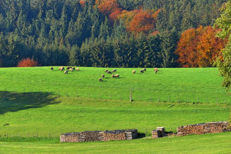 Herbstliches Idyll - auf den Fluren von Hellersberg.