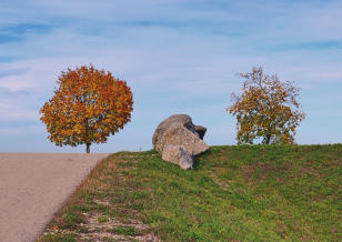 Ein schönes Motiv - am Hochwasserschutzdamm Balzhausen/Bayersried